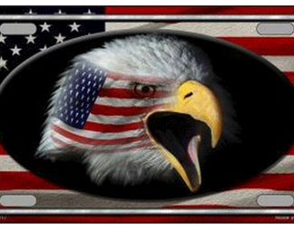 patriotic american eagle tag