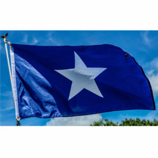 bonnie blue flag outdoor flags for sale