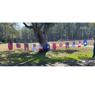 confederate flag set on string party for CSA