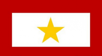 Golden One Star Service License Plate