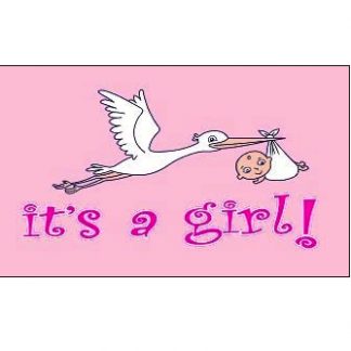 birth announcement flag for sale it's a girl 3x5 flag