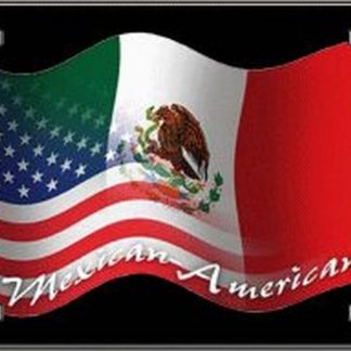 mexican-american license plate for sale