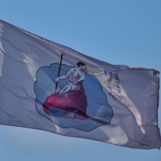 san jacinto batle flag historic texas flag with lady liberty holding sword with words Liberty or Death hanging on banner