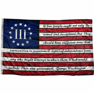nyberg betsy ross gw bear arms quote flag