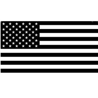 usa protest flag