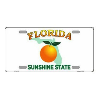 florida tag sunshine state with orange in center auto tag license plate
