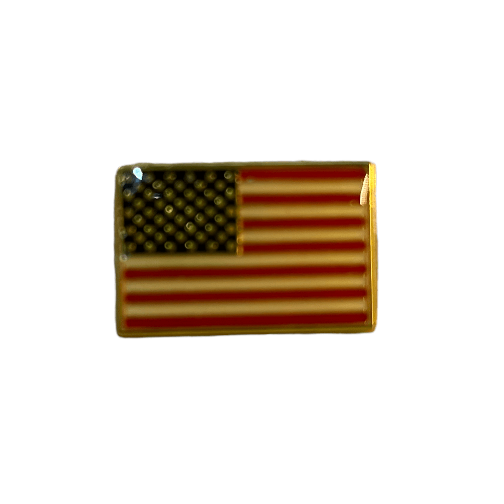 USA Lapel Pin