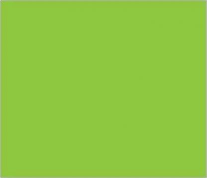 Light Green Window Clip Flag