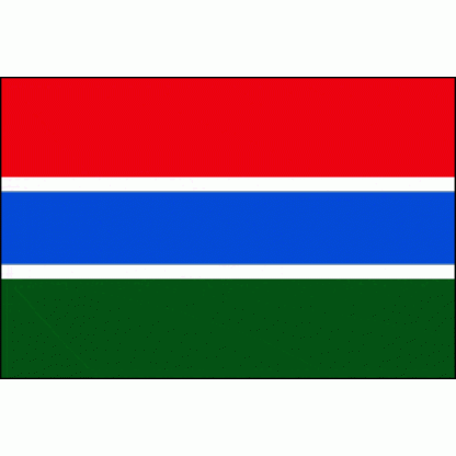 Gambia 2 x 3 Flag