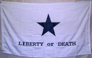troutman heavy duty flag