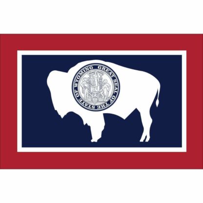 outdoor wy flags for say in nylon 3 x 5 feet