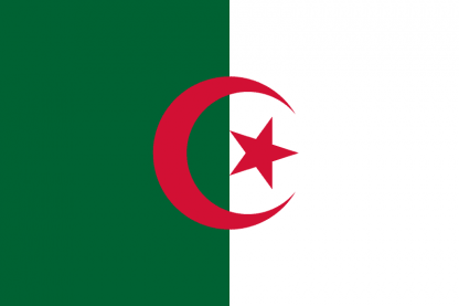 Algeria Flag 2 X 3 ft. Junior