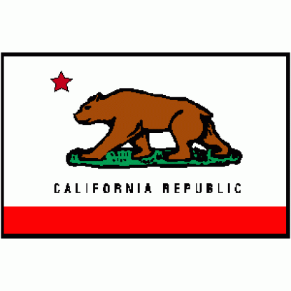 California Flag 2 X 3 ft. Junior