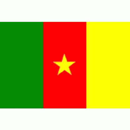 Cameroon Flag 2 X 3 ft. Junior