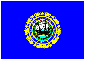 State of New Hampshire Flag 4 X 6 ft. Large