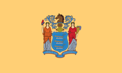 State of New Jersey Flag 4 X 6 ft. Large