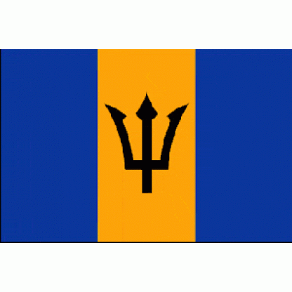 Barbados Flag 2 X 3 ft. Junior