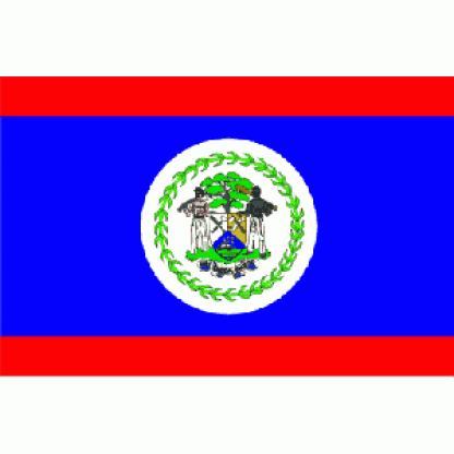 Belize Flag 2 X 3 ft. Junior