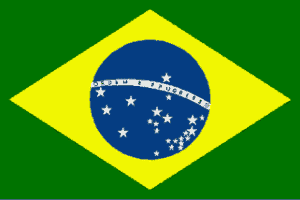 Brazil Flag 12 x 18 inch on Stick
