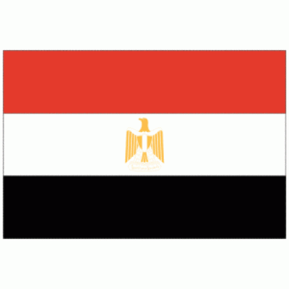 Egypt Flag 2 X 3 ft. Junior