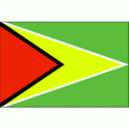 Guyana Flag 2 X 3 ft. Junior