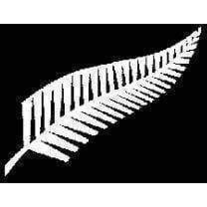 Silver Fern New Zealand Flag 3 X 5 ft. Standard