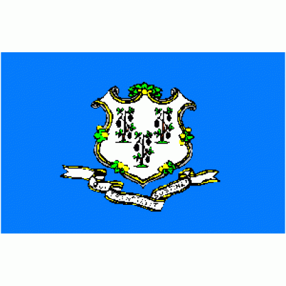 State of Connecticut Flag 2 X 3 ft. Junior