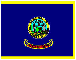 State of Idaho Flag 4 X 6 ft. Large