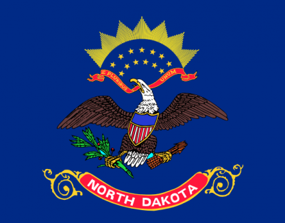 State of North Dakota Flag 2 X 3 ft. Junior