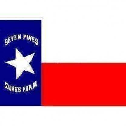 Texas Hoods Brigade Flag 3 X 5 ft. Standard