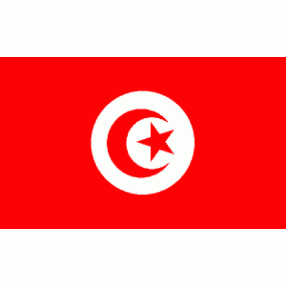 Tunisia Flag 3 X 5 ft. Standard