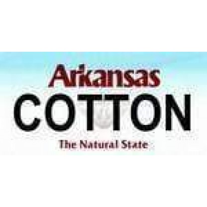 Arkansas State Background License Plate