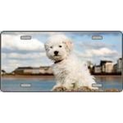 Bichon Frise Dog License Plate