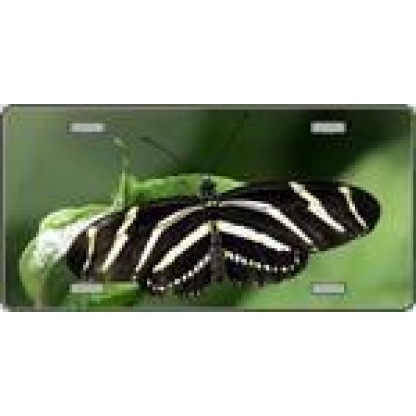 Butterfly Black and White Striped - Full Color Photography License Plate