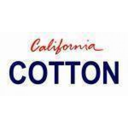 California State Background License Plate