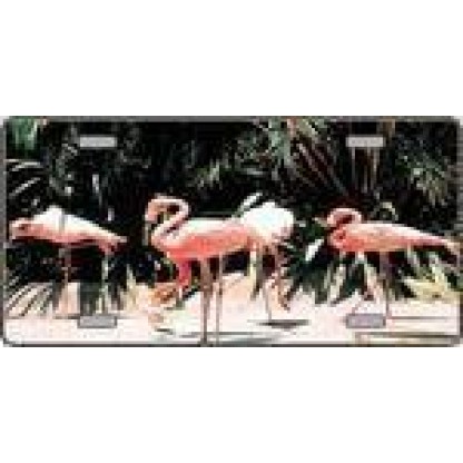 Pink Flamingos - Full Color Photography License Plate