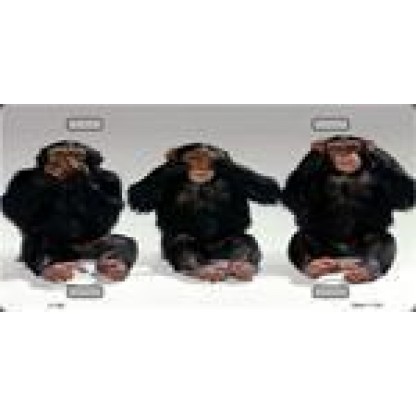 See, Hear, Speak No Evil Novelty License Plate