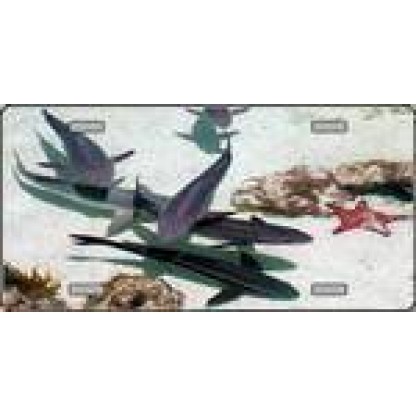Sharks - Underwater Full Color Photography License Plate