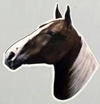 Sorrell Tennessee Walking Horse Full Color Decal