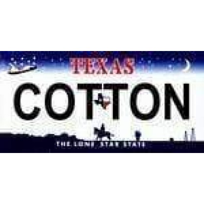 Texas State Background License Plate
