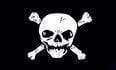 Pirate Big Skull Poison Flag 3 X 5 ft. Standard