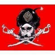 Pirate Coast Jolly Roger Flag 3 X 5 ft. Standard