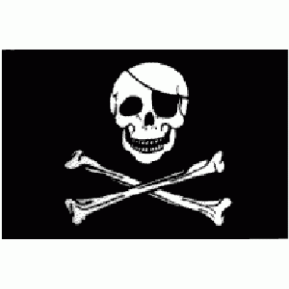 Pirate Flag Skull w/ patch, Jolly Roger Flag 2 X 3 ft. Junior