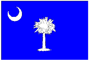 State of South Carolina Flag 4 X 6 ft. Large