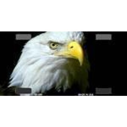 Bald Eagle Bike Plate