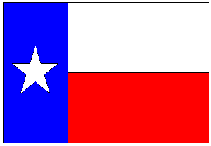 State of Texas Flag 12 Inch by 18 Inch with Grommets
